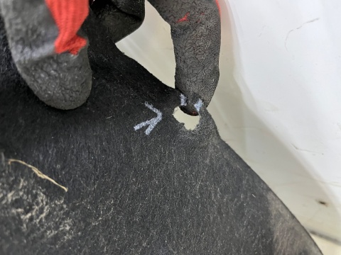 Nadkole Ford Connect MK2 LIFT 17-22r. lewe przednie ORYGINAL lewy przód kt1b-16115-ae Nadkole Ford Connect MK2 LIFT 17-22r. lewe przednie ORYGINAL lewy przód kt1b-16115-ae