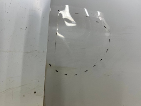 Drzwi Audi A3 8V 12-20r. Sportback 5D 5 Drzwi lewe przednie lewy przód