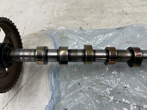 Wałek rozrządu Citroen Peugeot Ford Mazda Volvo 1.6 TDCi 1.6 HDi 8v 95km diesel silnik T3DB głowica 9684487210