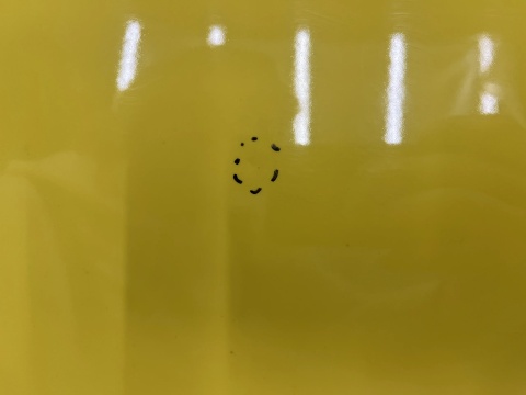 Drzwi Citroen Jumpy Expert Scudo Vivaro C ProAce 3 III 16r.- prawe przednie prawy przód 9812213980